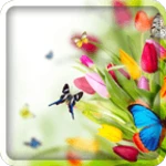 spring live wallpaper android application logo